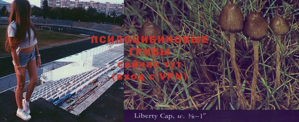 соль курить ск Алексеевка