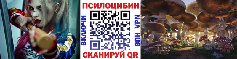 Псилоцибиновые грибы мицелий  Купить где  Будённовск 